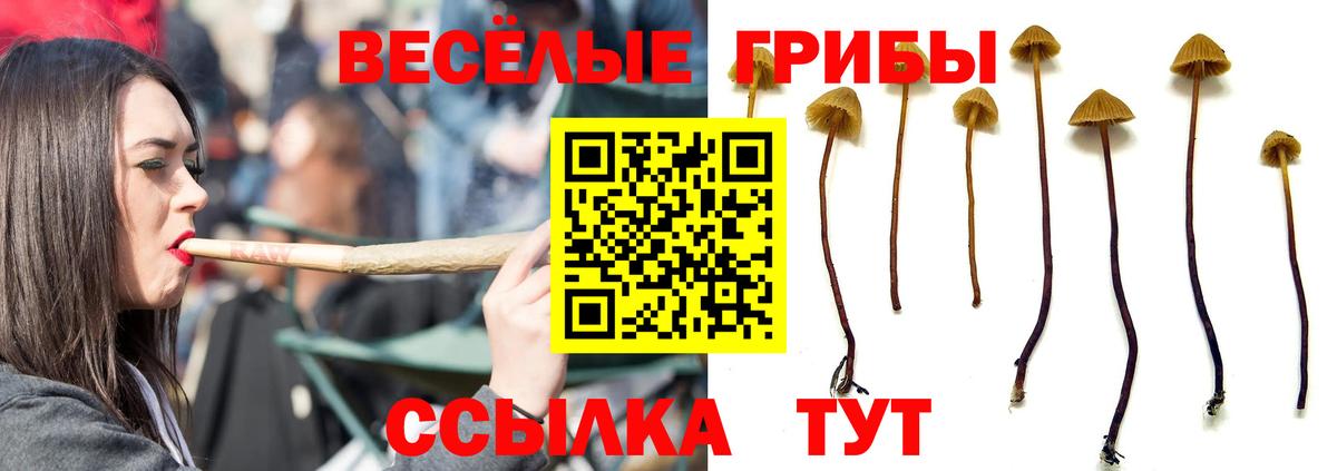 Галлюциногенные грибы мухоморы  Вход с VPN  Галлюциногенные грибы Psilocybe  Брянск 